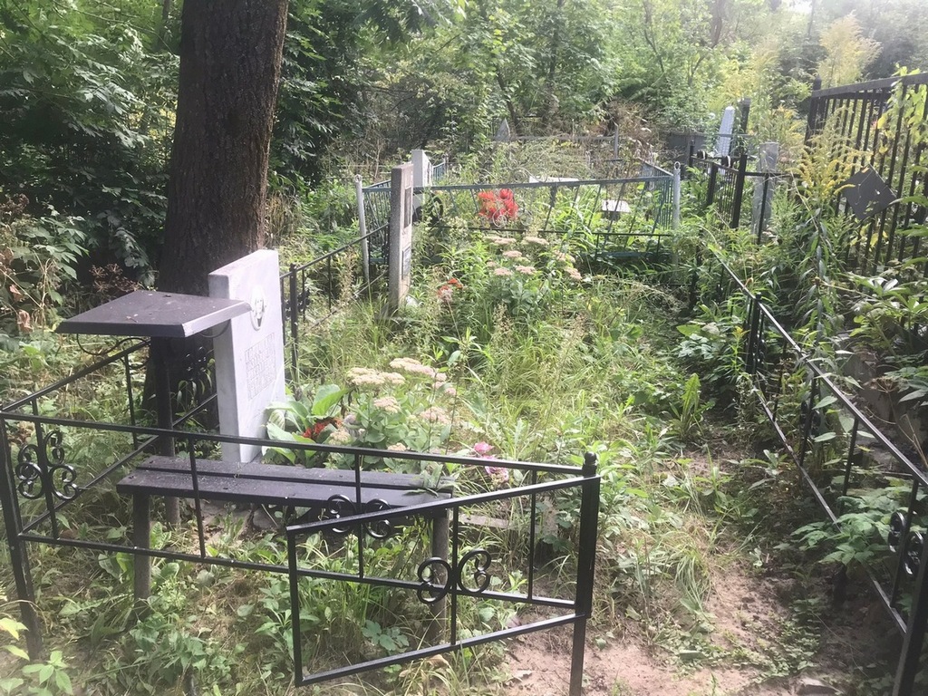 Корячкина Эльвира Николаевна
