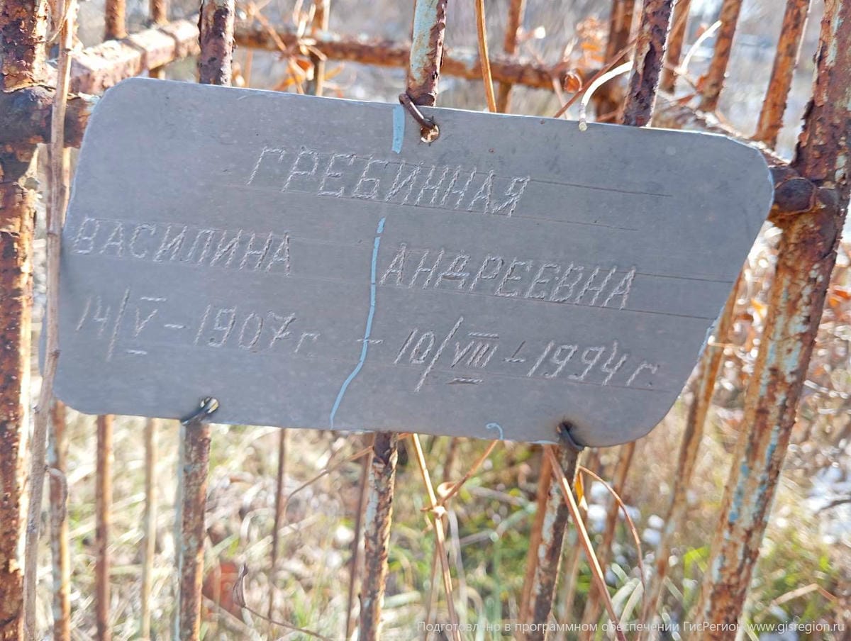 Гребинная Василина Андреевна