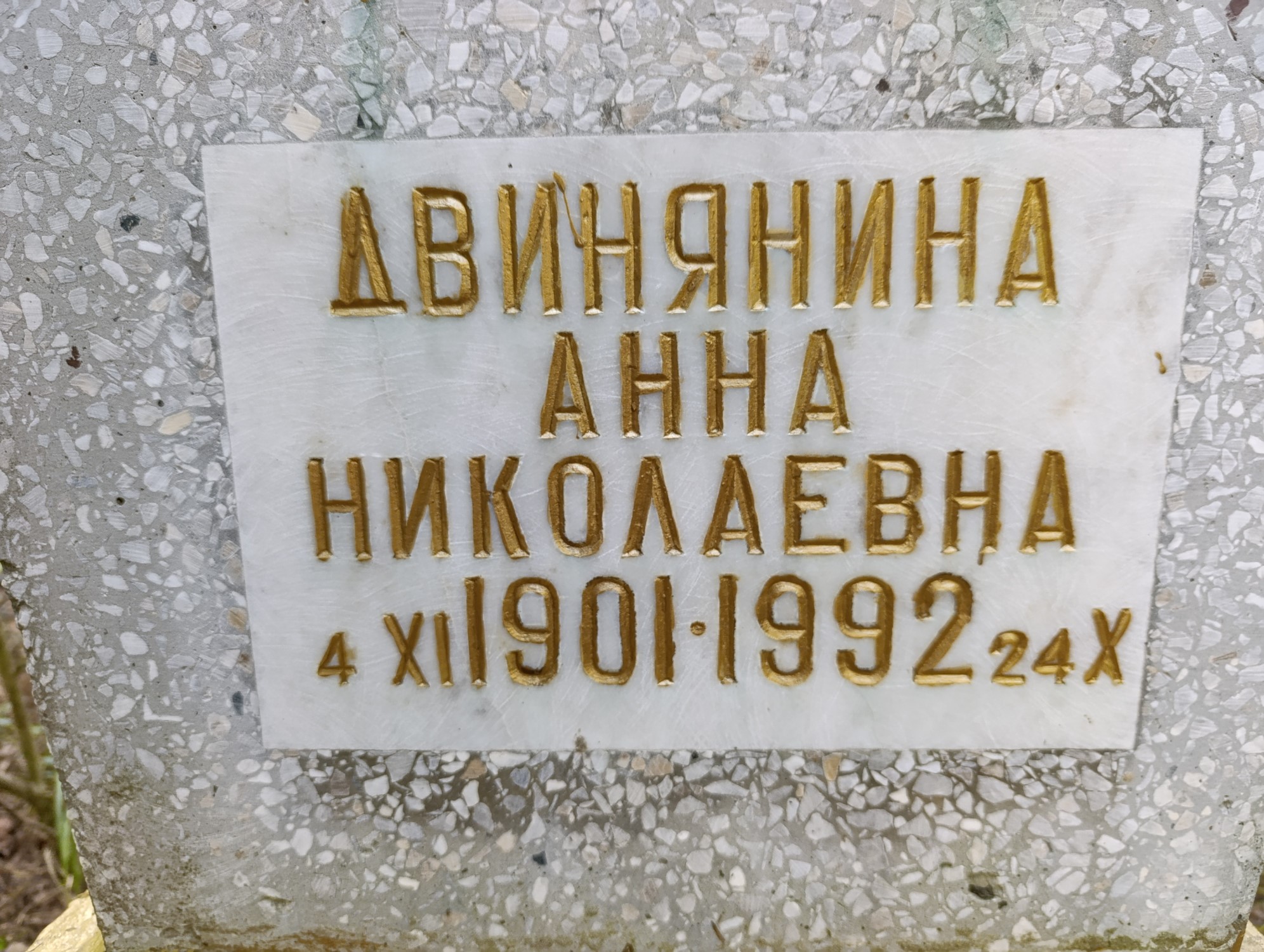 Двинянина Анна Николаевна
