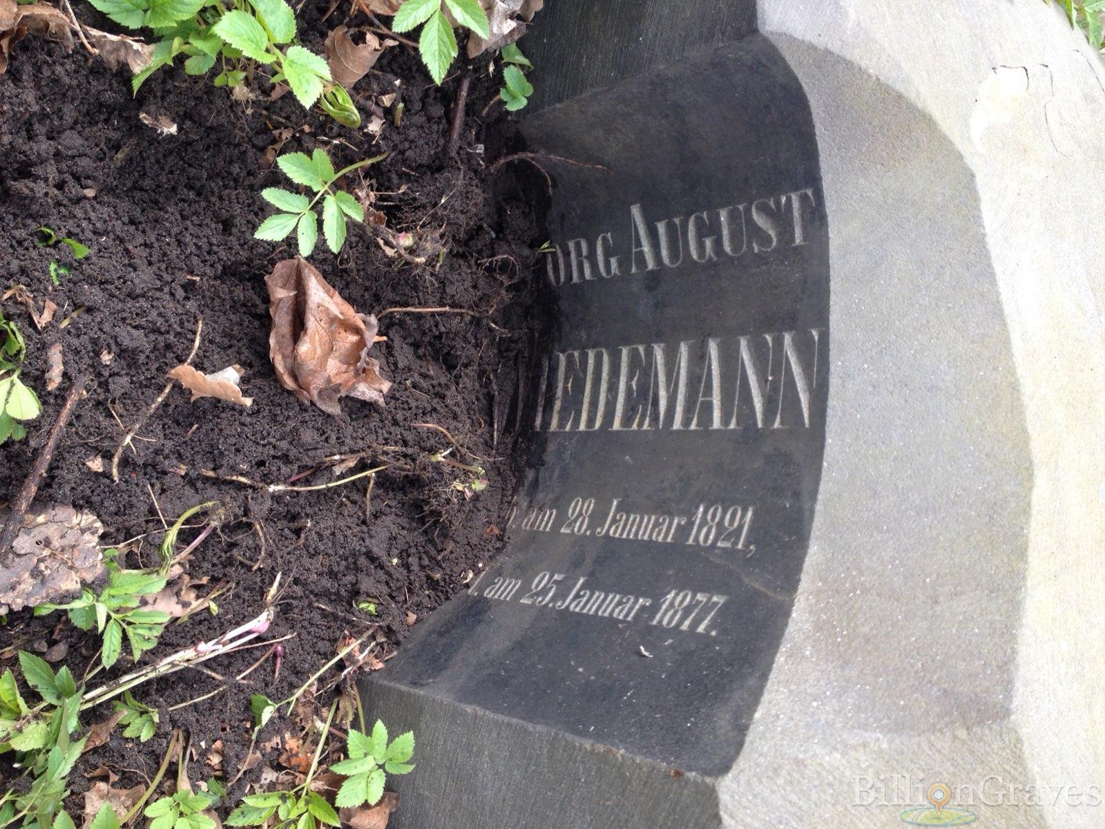 Wiedemann Georg August