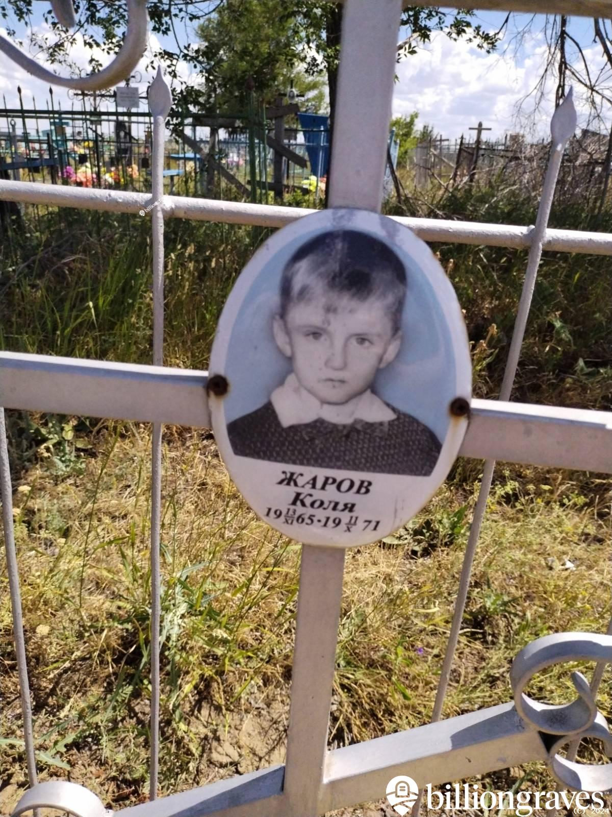 Жаров Коля