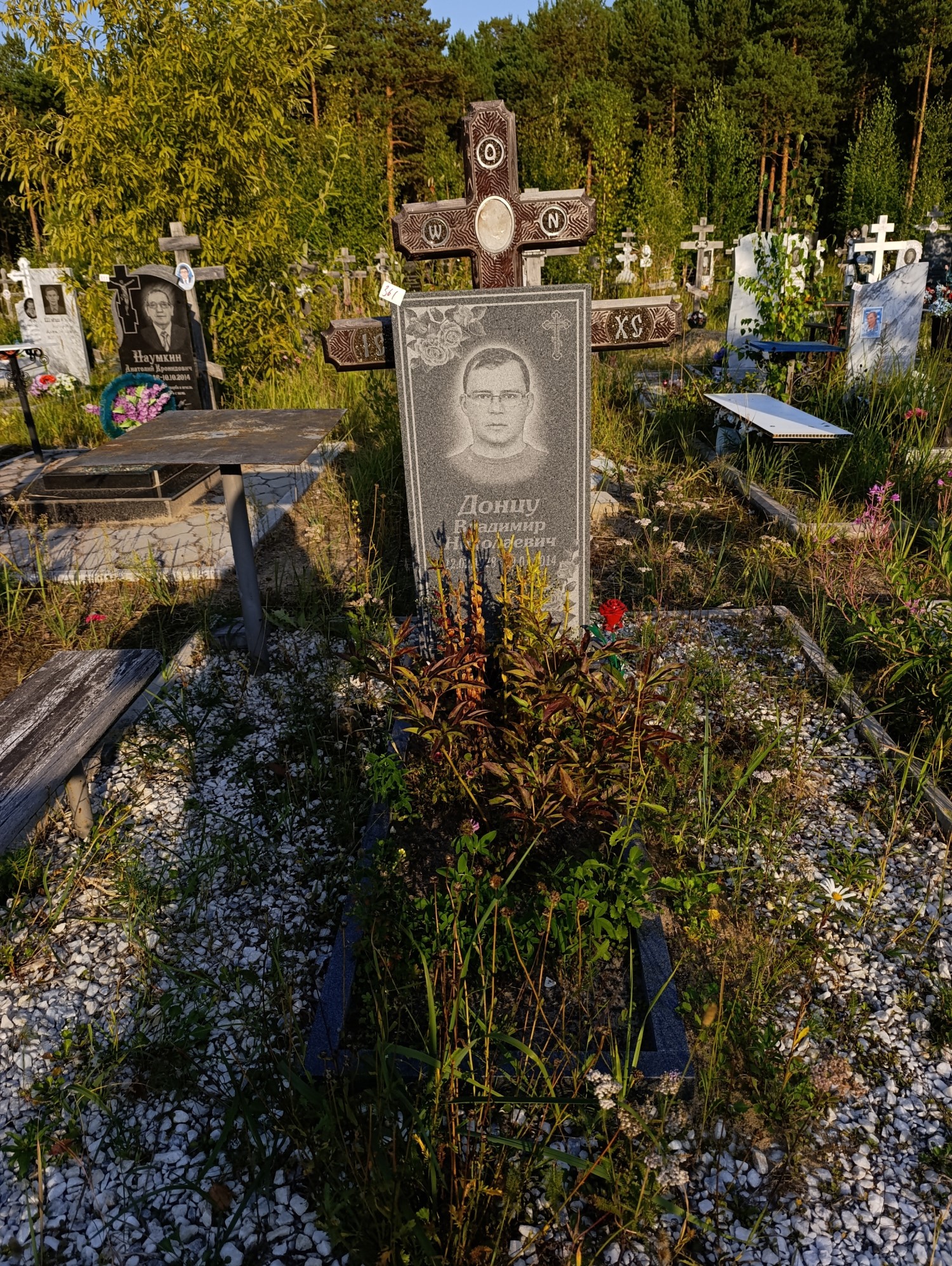 Донцу Владимир Николаевич