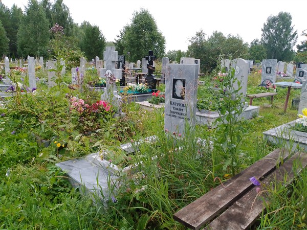 Патрина Тамара Георгиевна