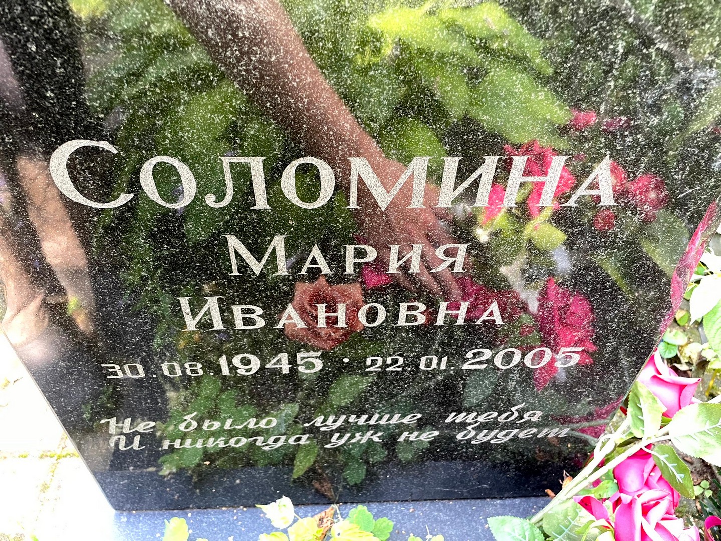 Соломина