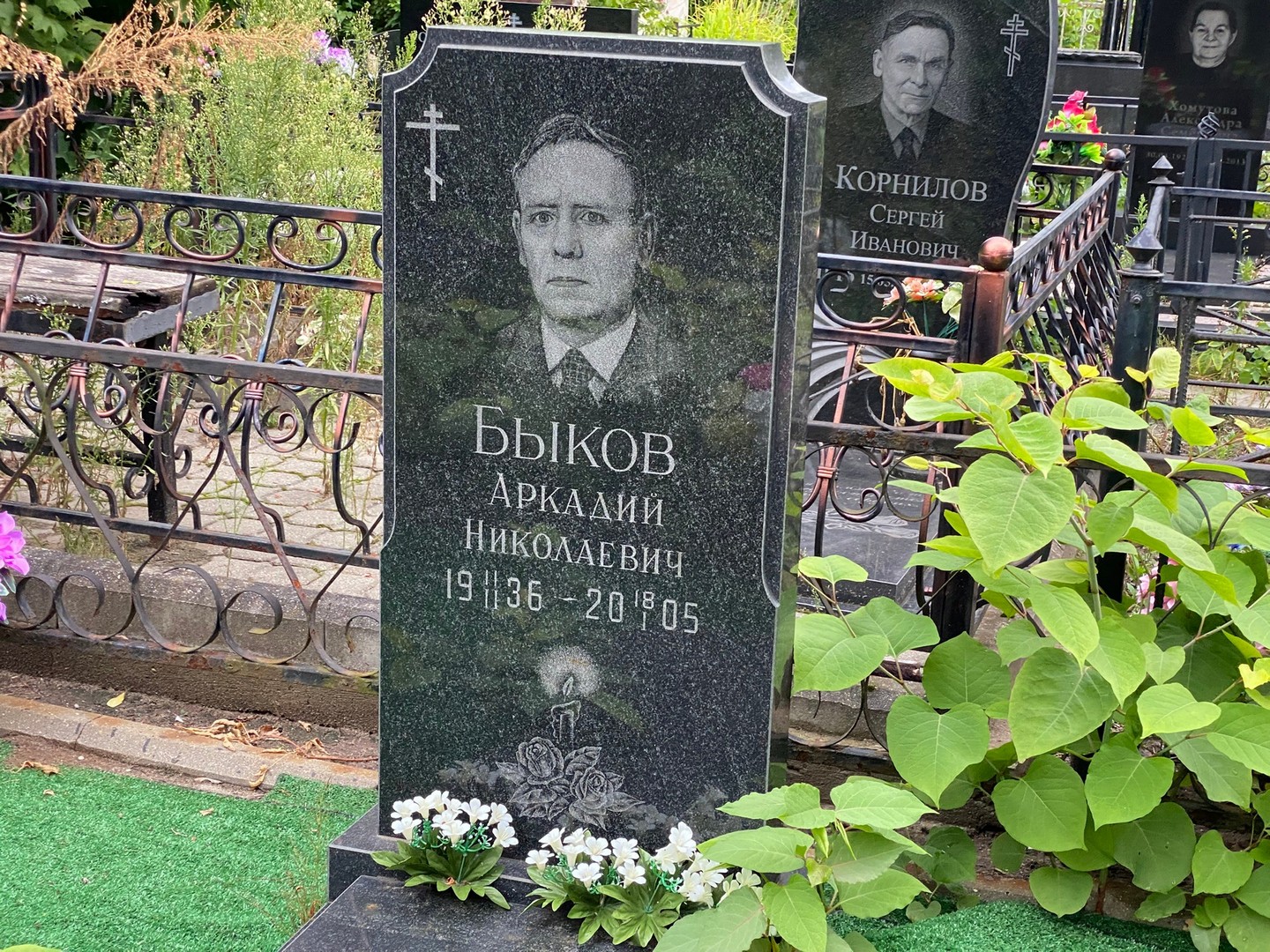 Быков