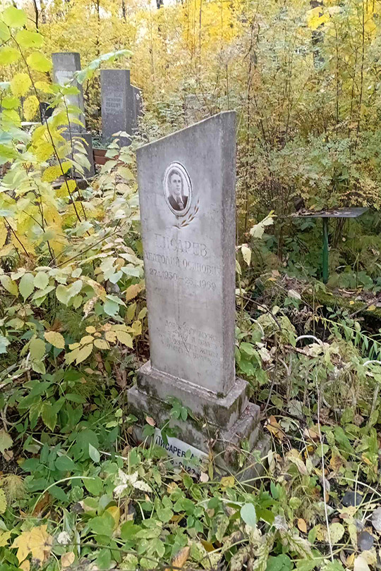 Писарев А. А.