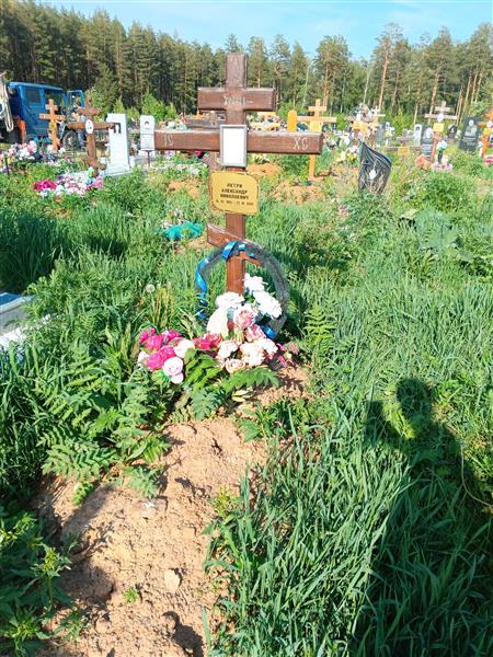 Петри Александр Николаевич