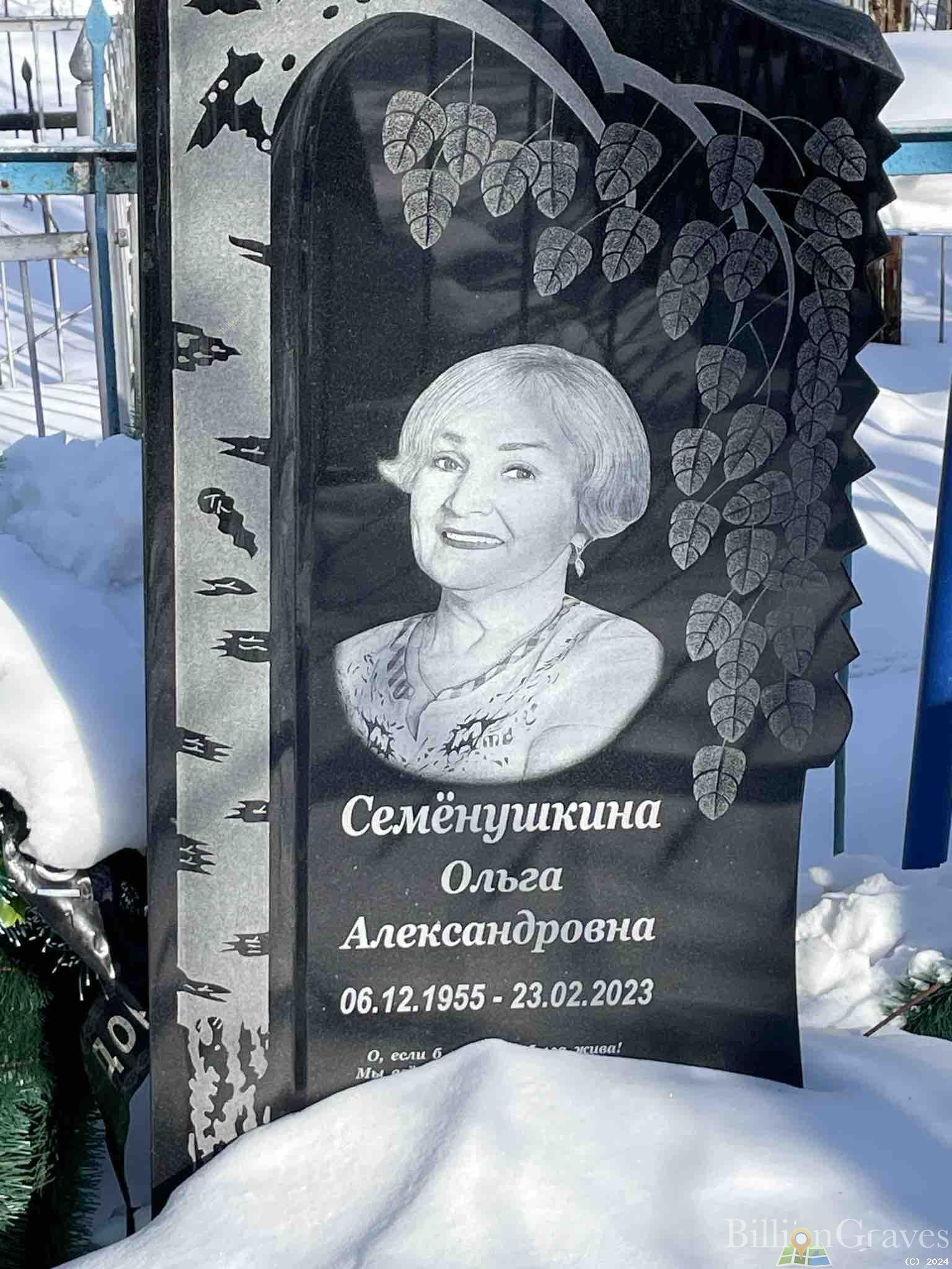 Семёнушкина Ольга Александровна
