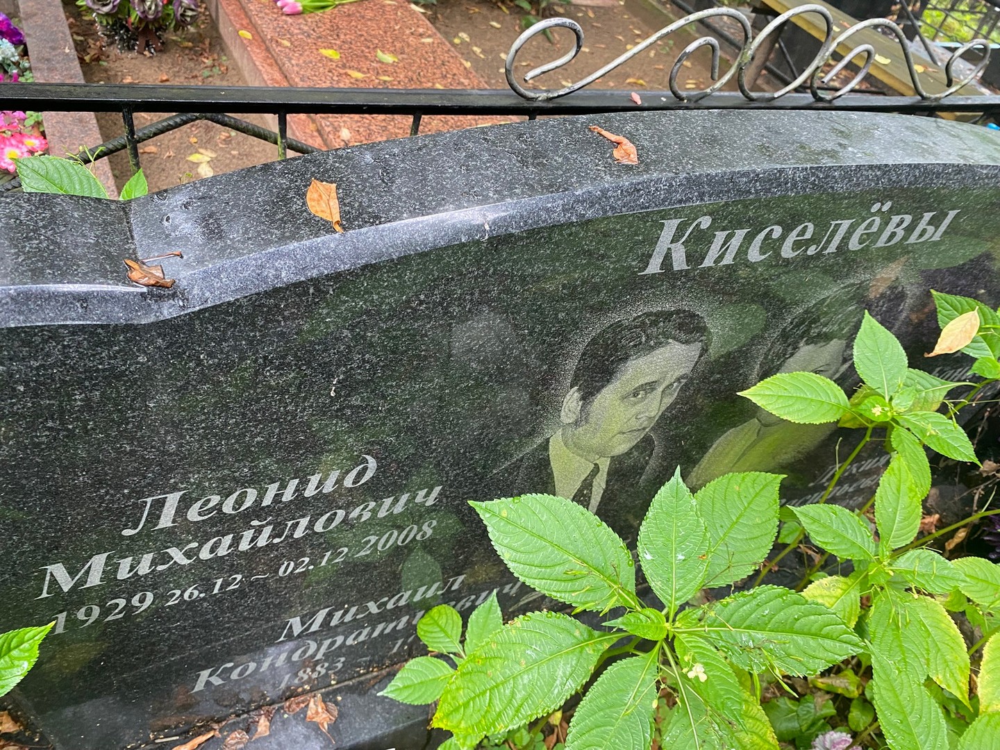 Киселев