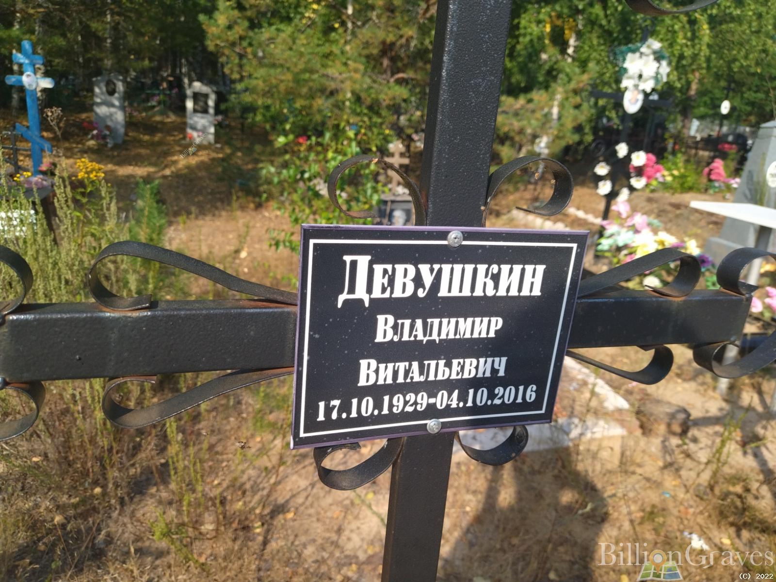 Девушкин Владимир Витальевич