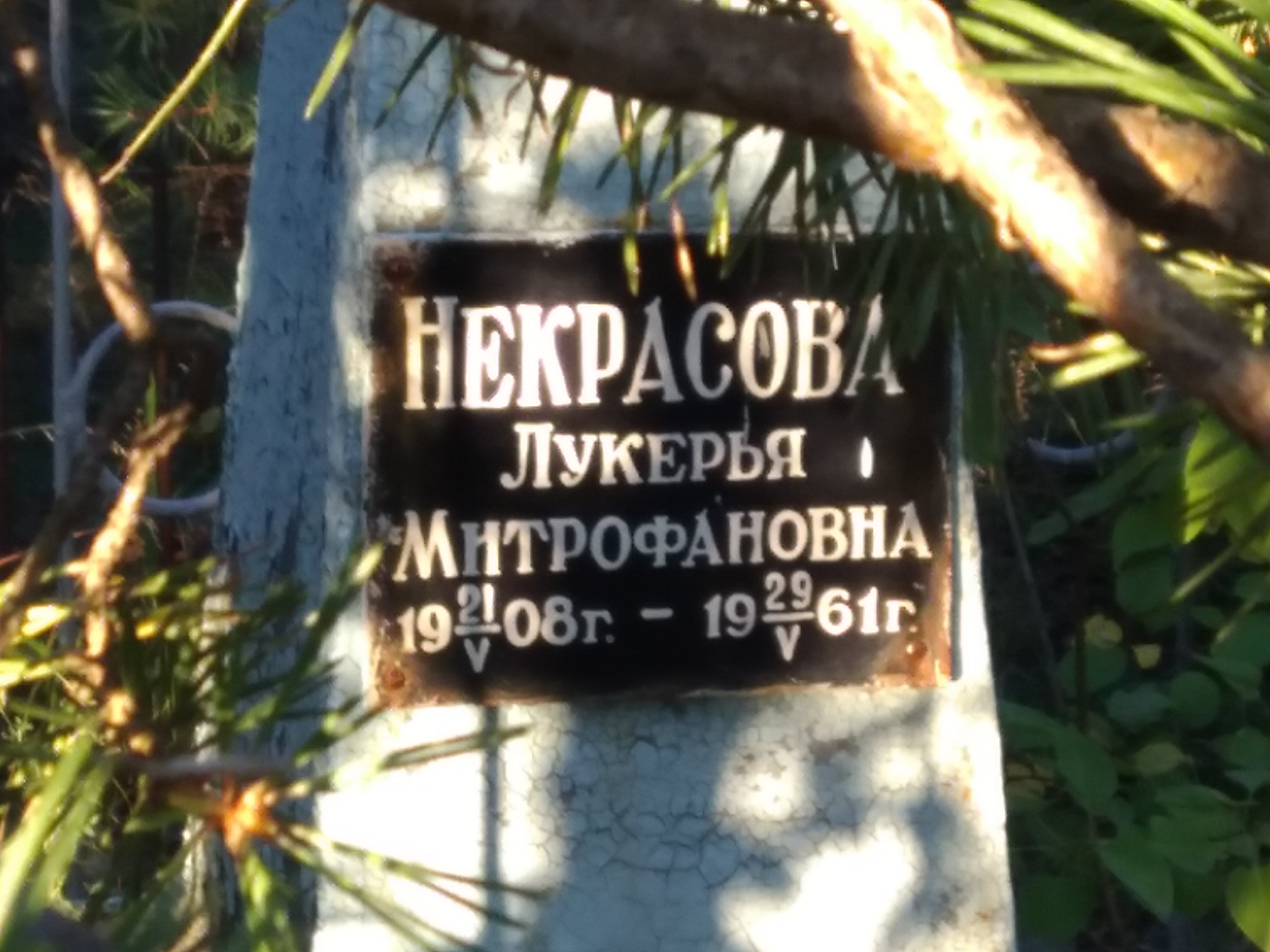 Некрасова Лукерья Митрофанова