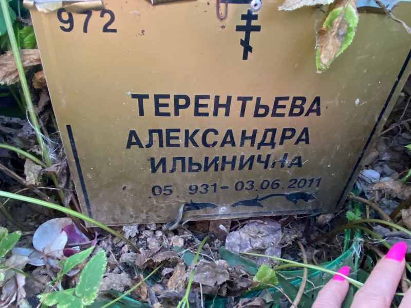 Терентьева Александра Ильинична