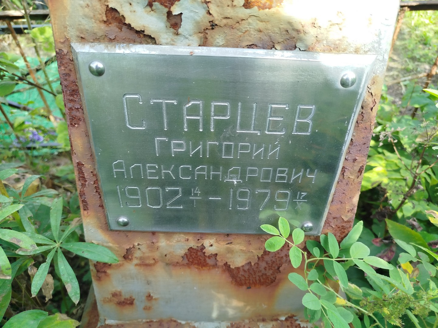 Старцев