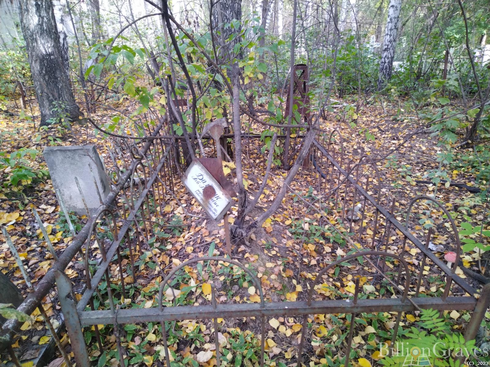 Дольник Лев Моисеевич