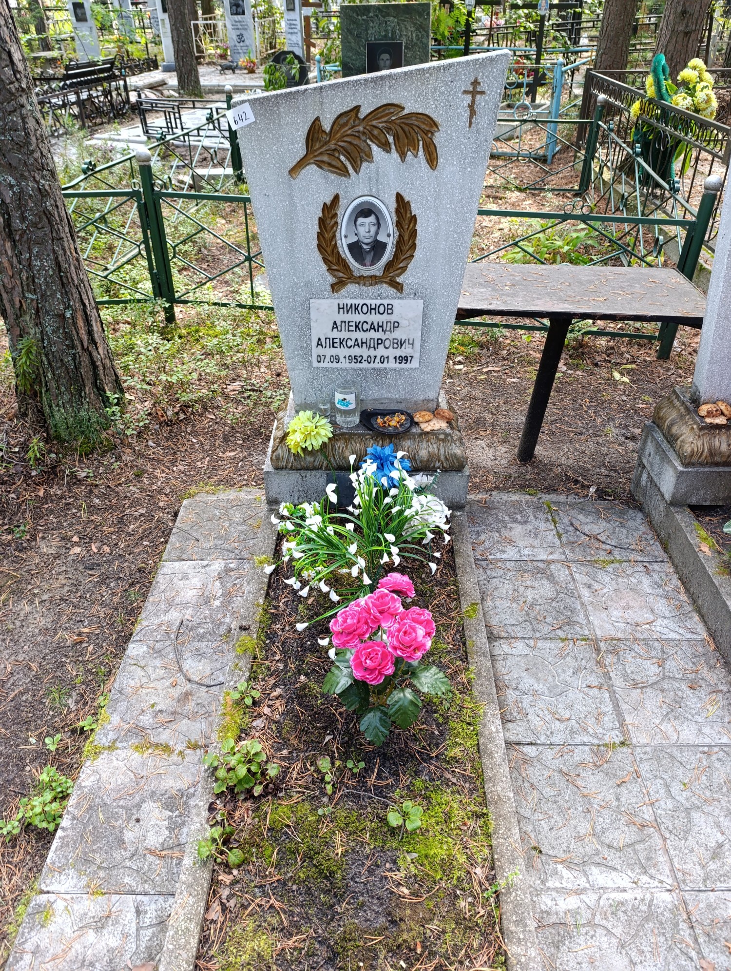 Никонов Александр Александрович