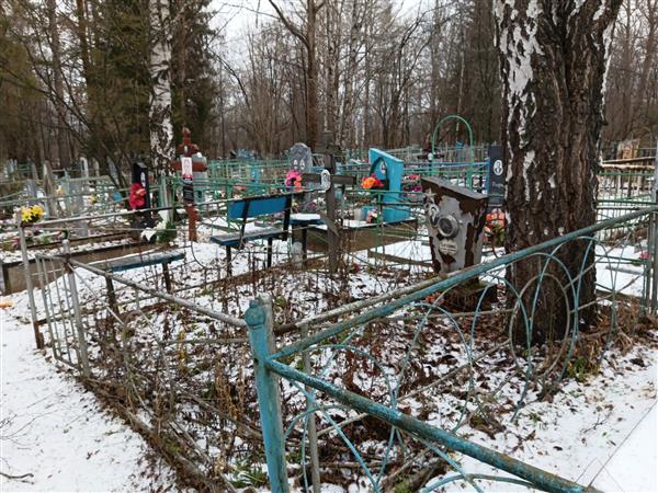 Варлапова Татьяна Устиновна