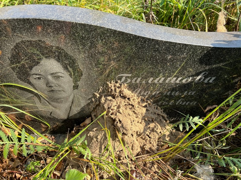 Балашова