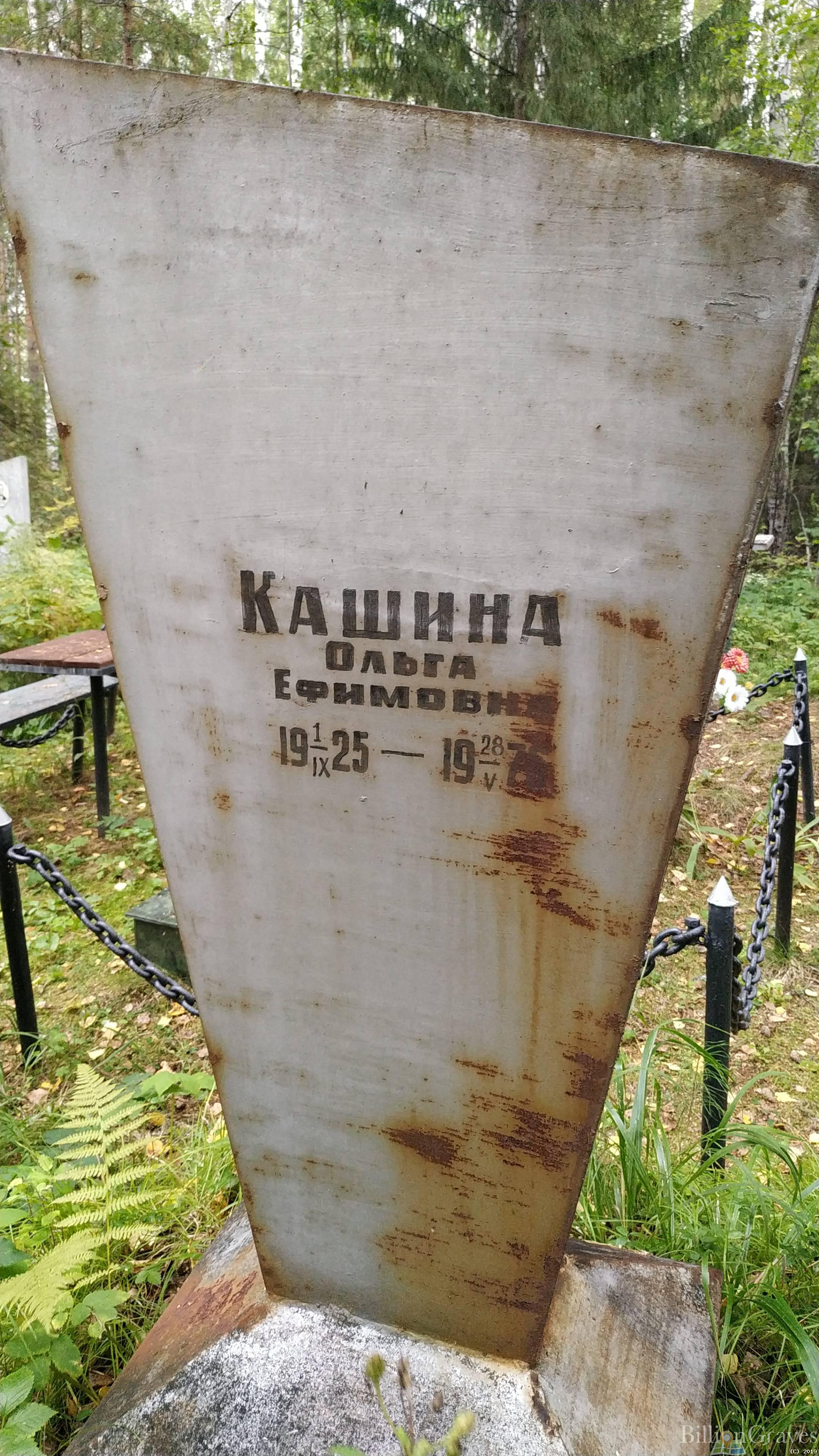 Кашина Ольга Ефимовна