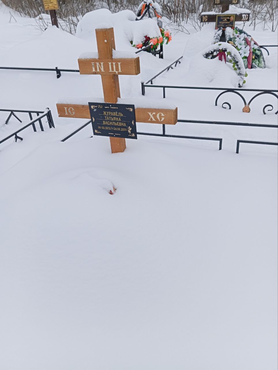 Журавель