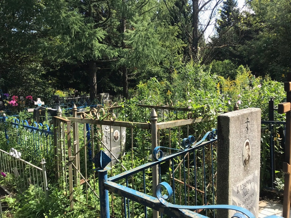 Мухина Елизавета Алексеевна