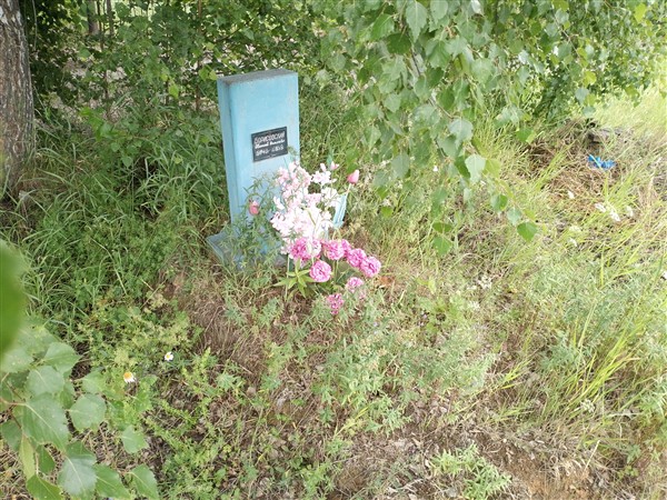 Борисовский Николай Дементьевич