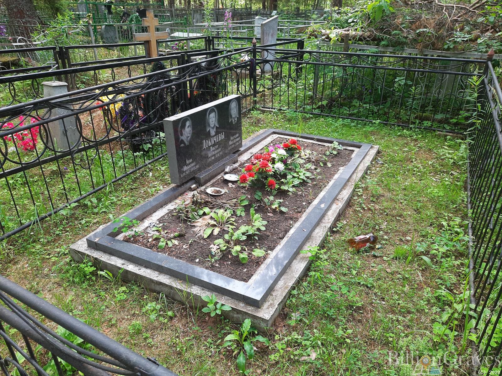 Докичев Анатолий Михайлович