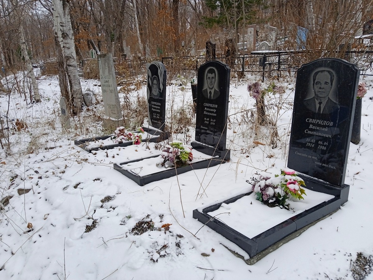 Сергачева Дарья Алексеевна