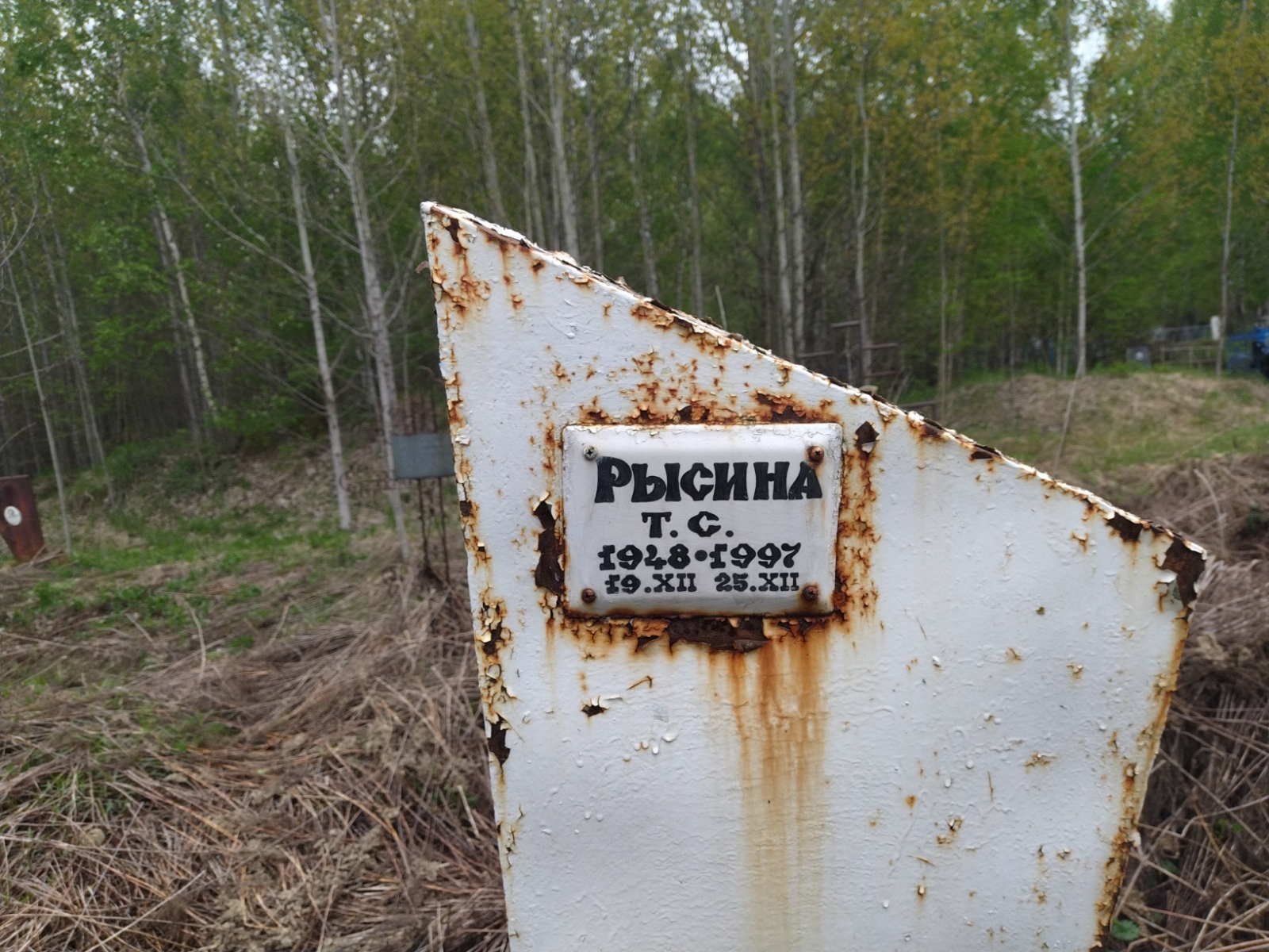 Рысина Т. С.