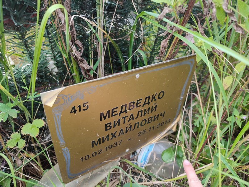 Медведко