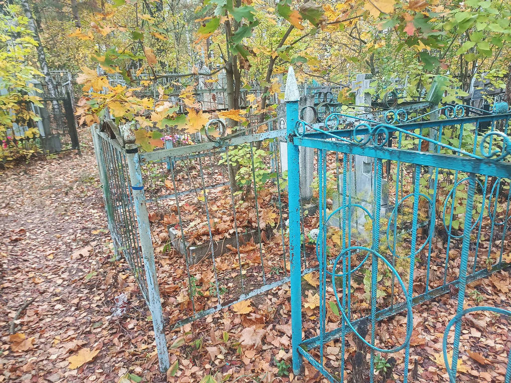 Троицкий Николай Николаевич