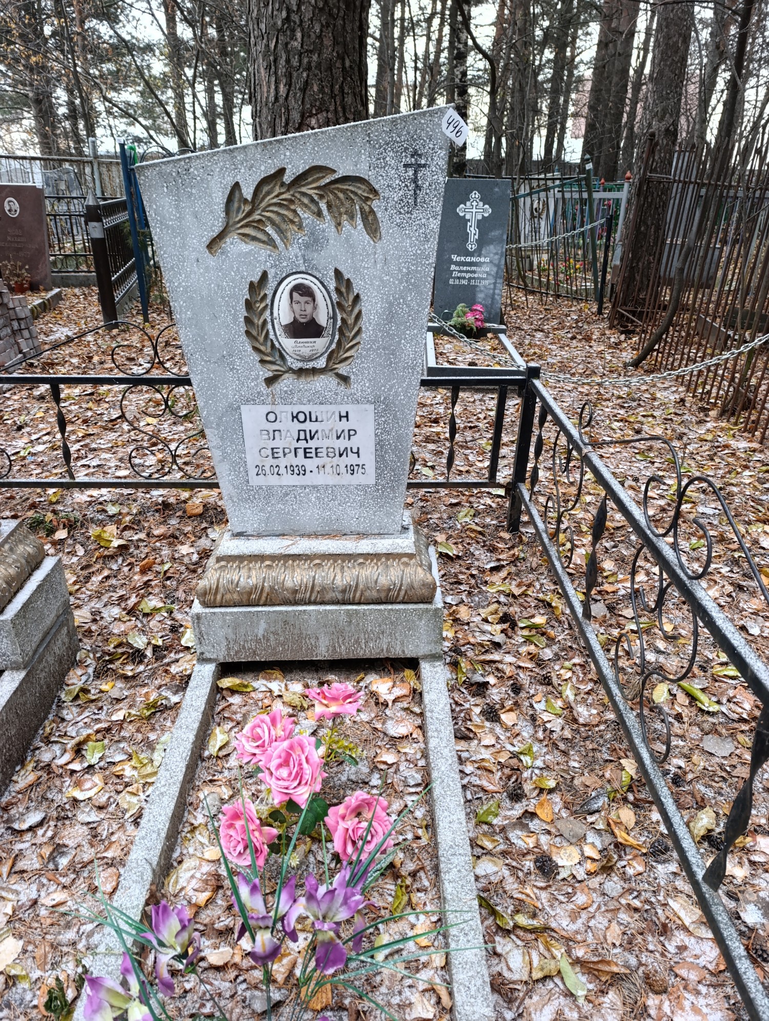 Олюшин Владимир Сергеевич
