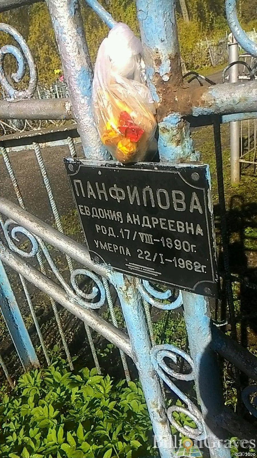 Панфилова Евдокия Андреевна