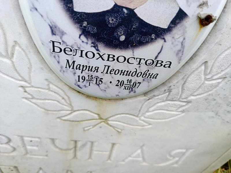 Белохвостова