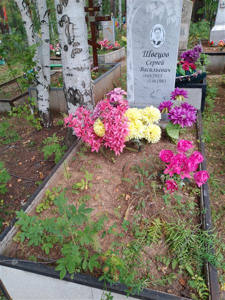 Швецов Сергей Васильевич