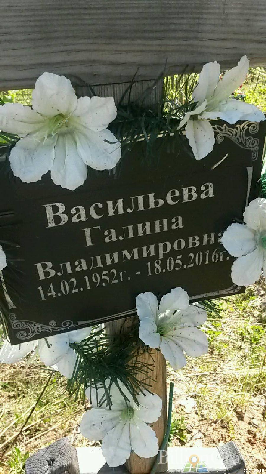 васильева галина владимировна