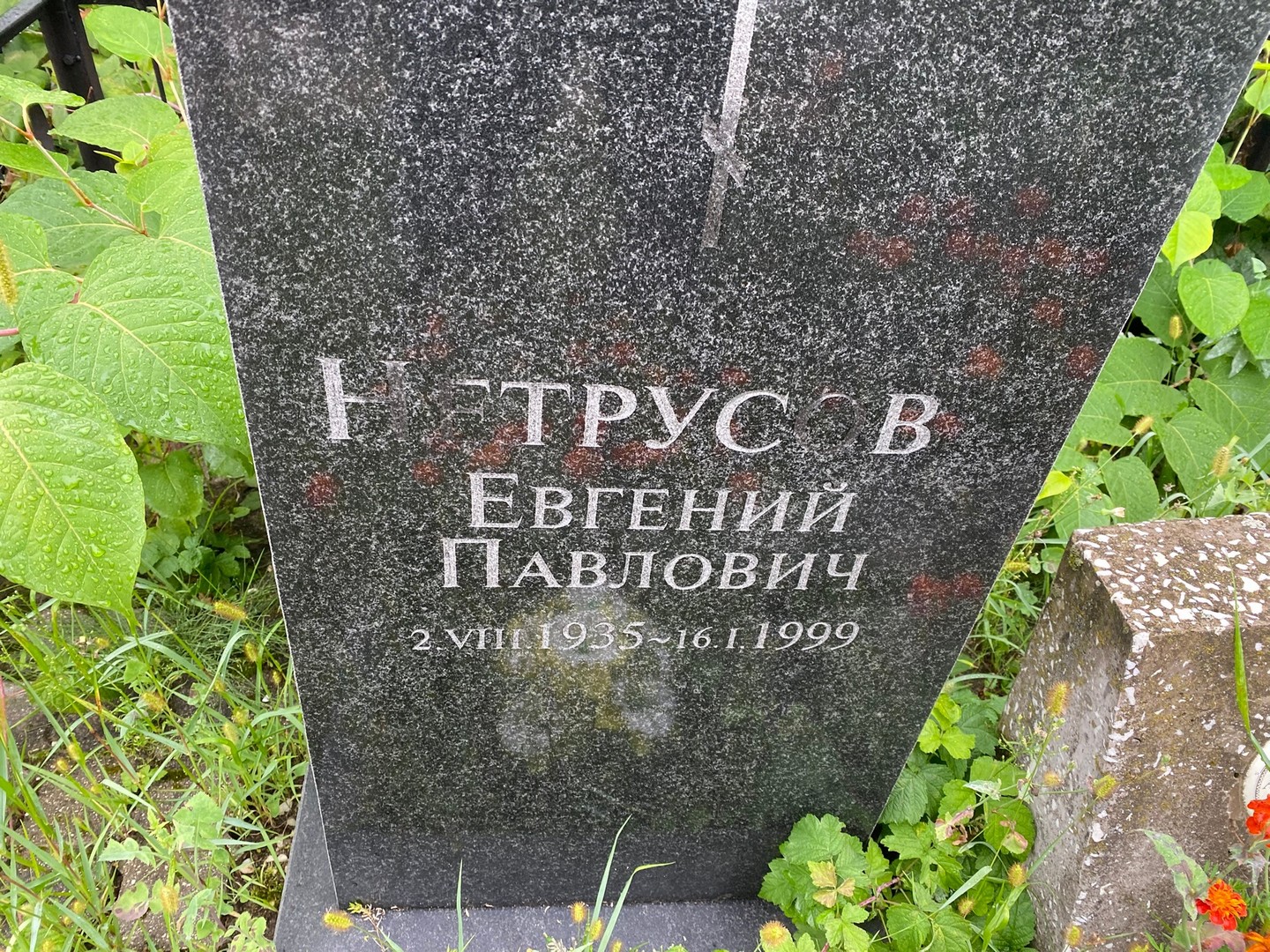Нетрусов