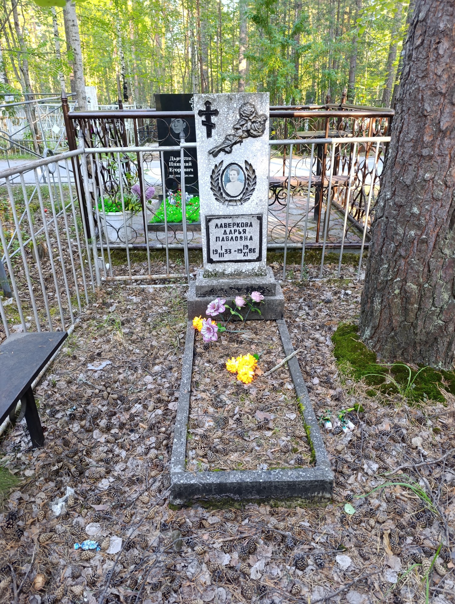 Лаверкова Дарья Павловна