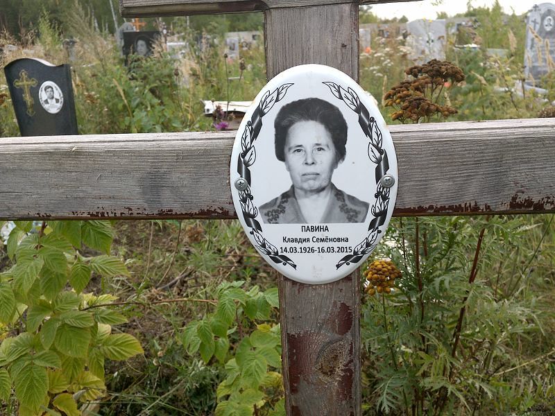 Павина