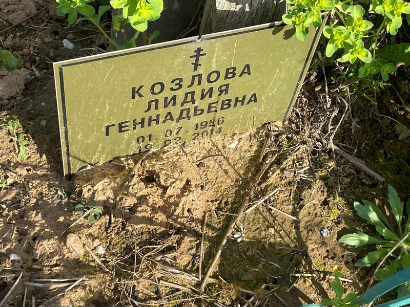 Козлова