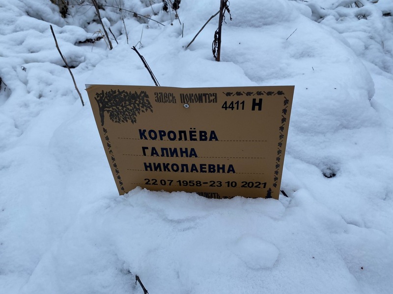 Королева
