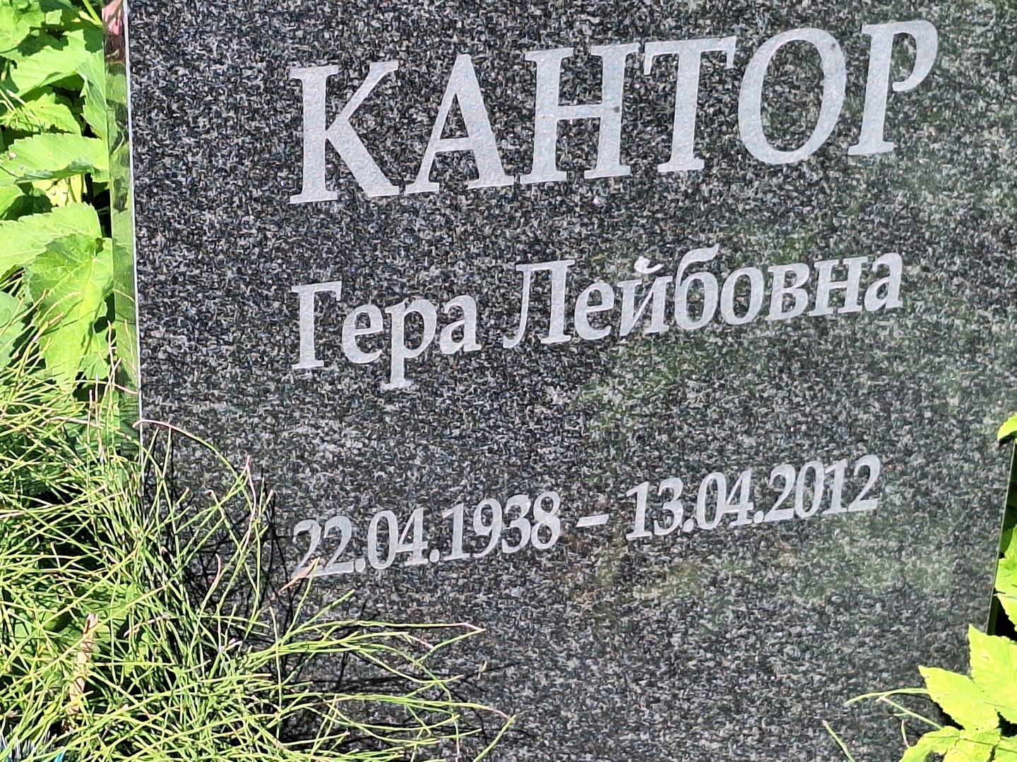 Гера Кантор Лейбовна