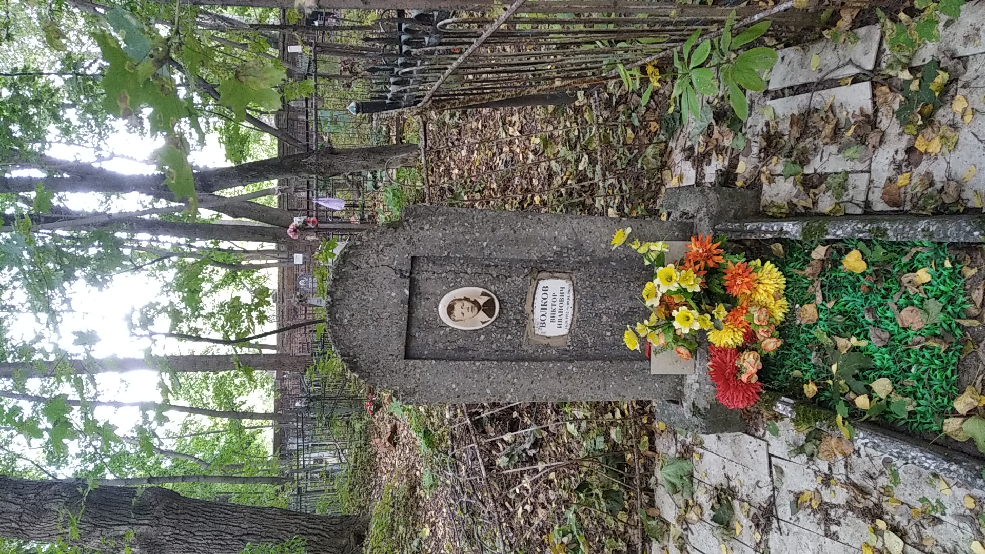 Волков Виктор Иванович
