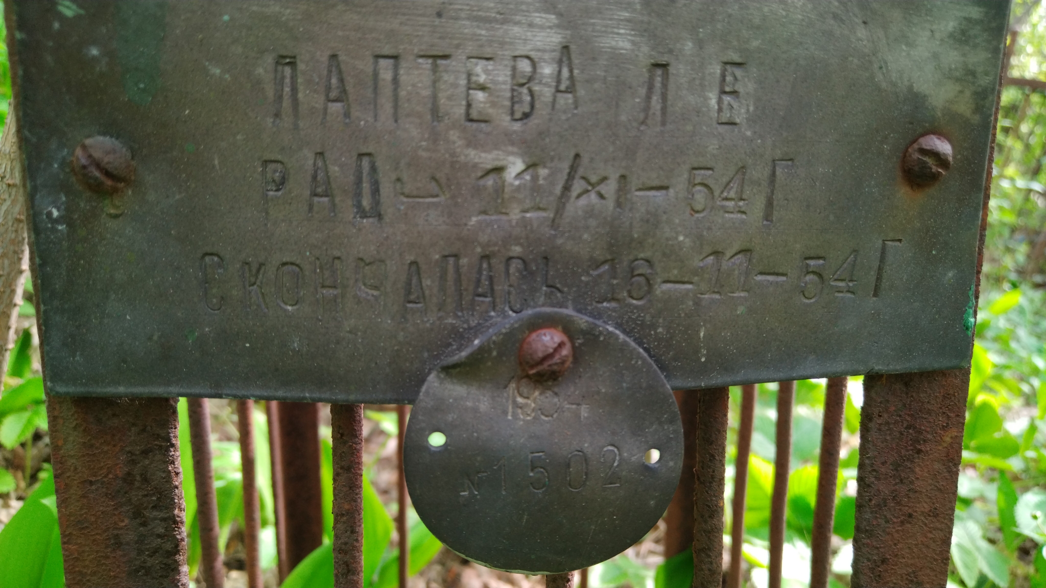 Лаптева Л. Е.
