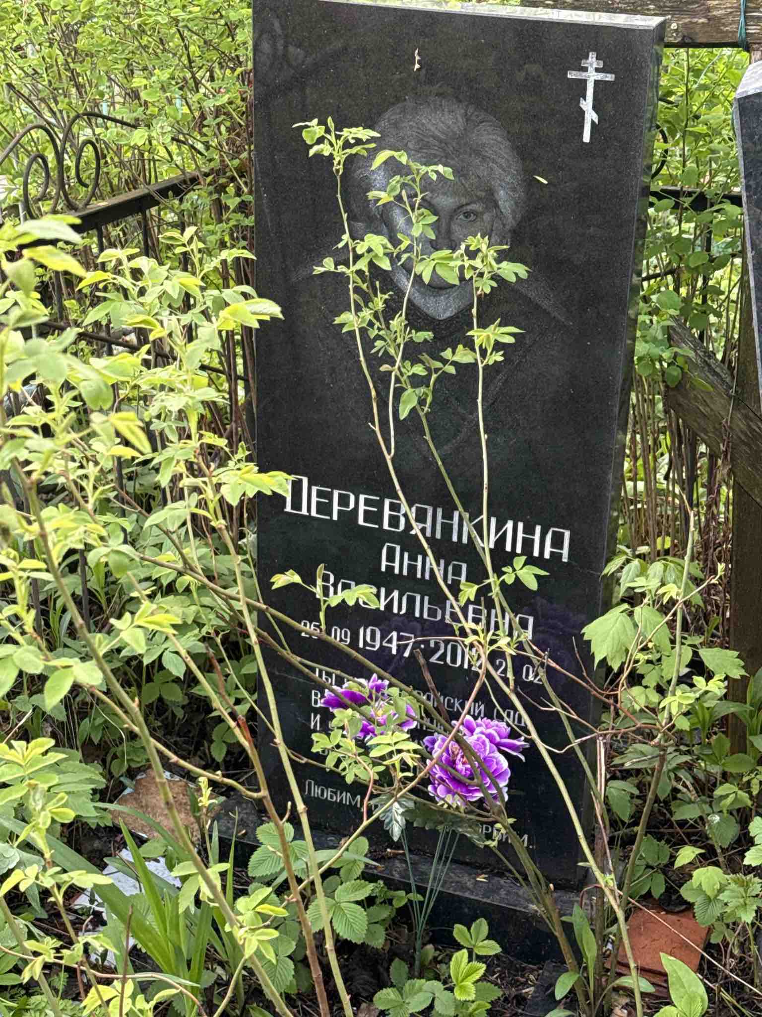 Деревянкина Анна Васильевна