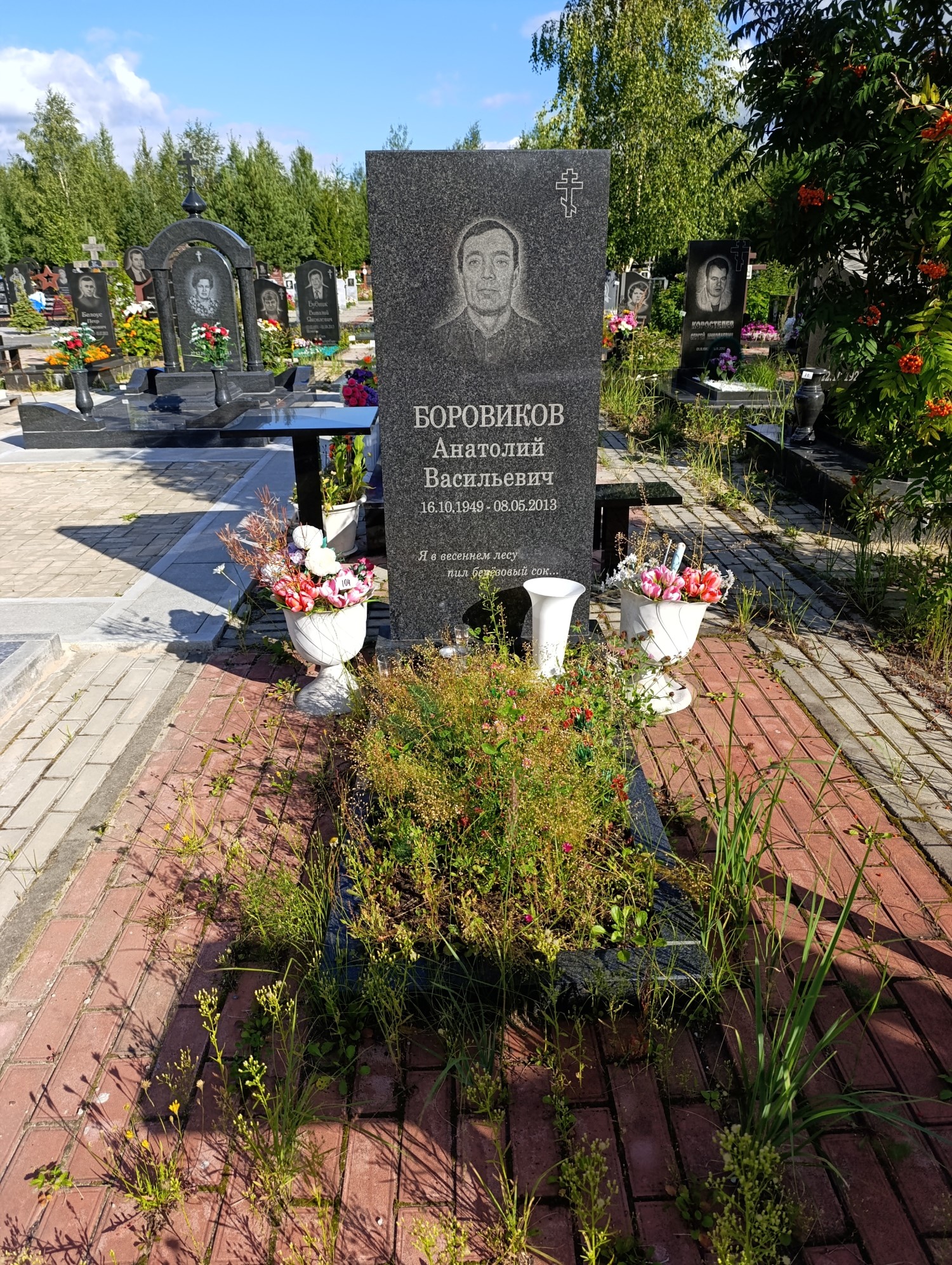 Боровиков Анатолий Васильевич