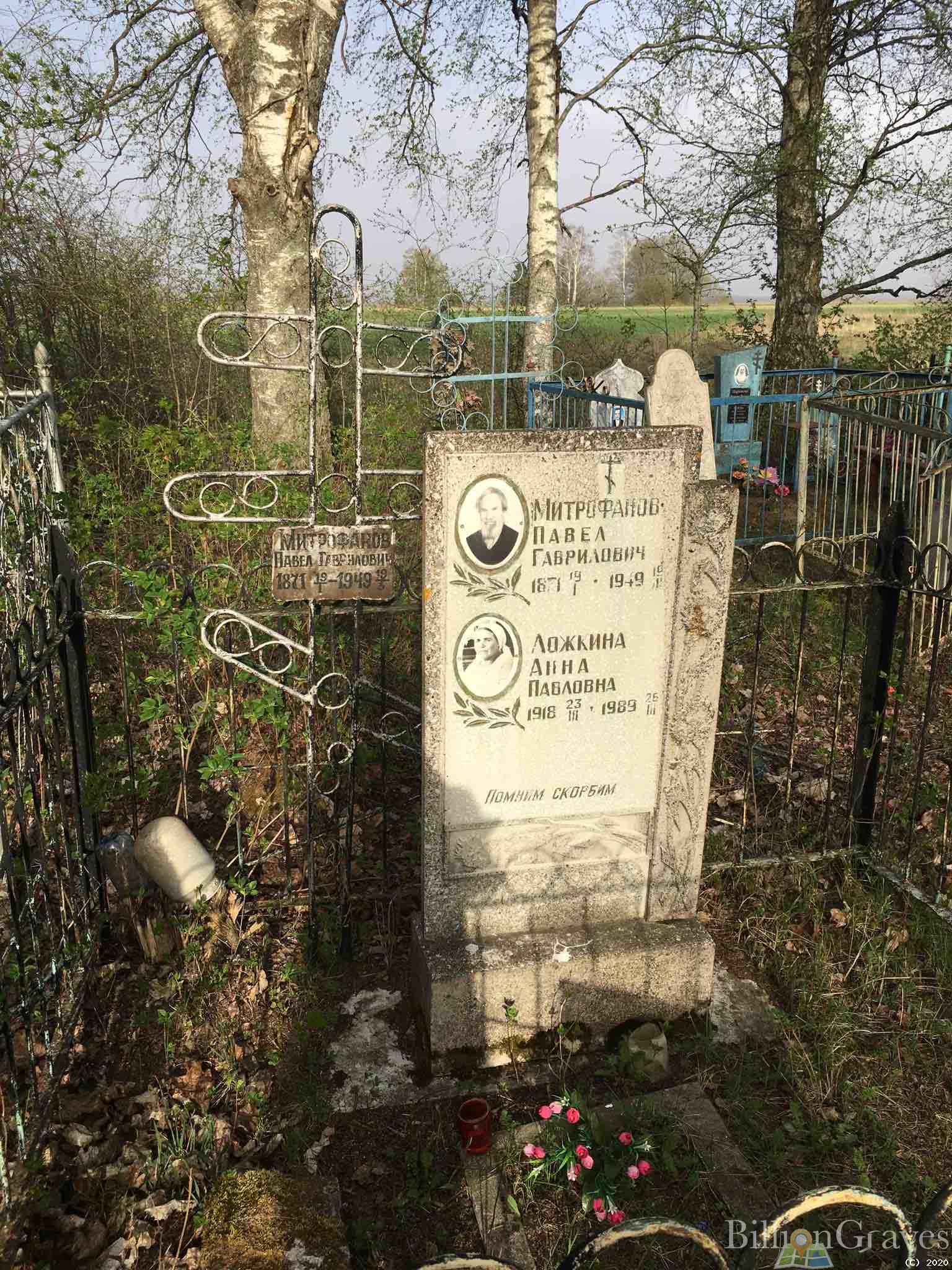 Ложкина Анна Павловна