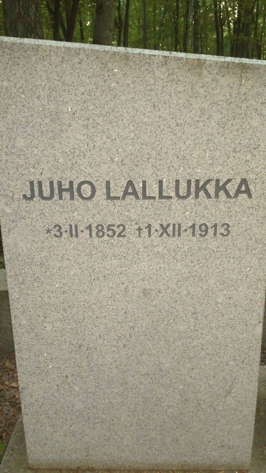 Lallukka Juno
