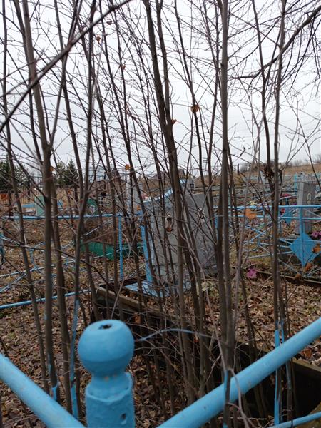 Помаз Михаил Емельянович