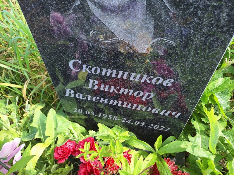 Скотников