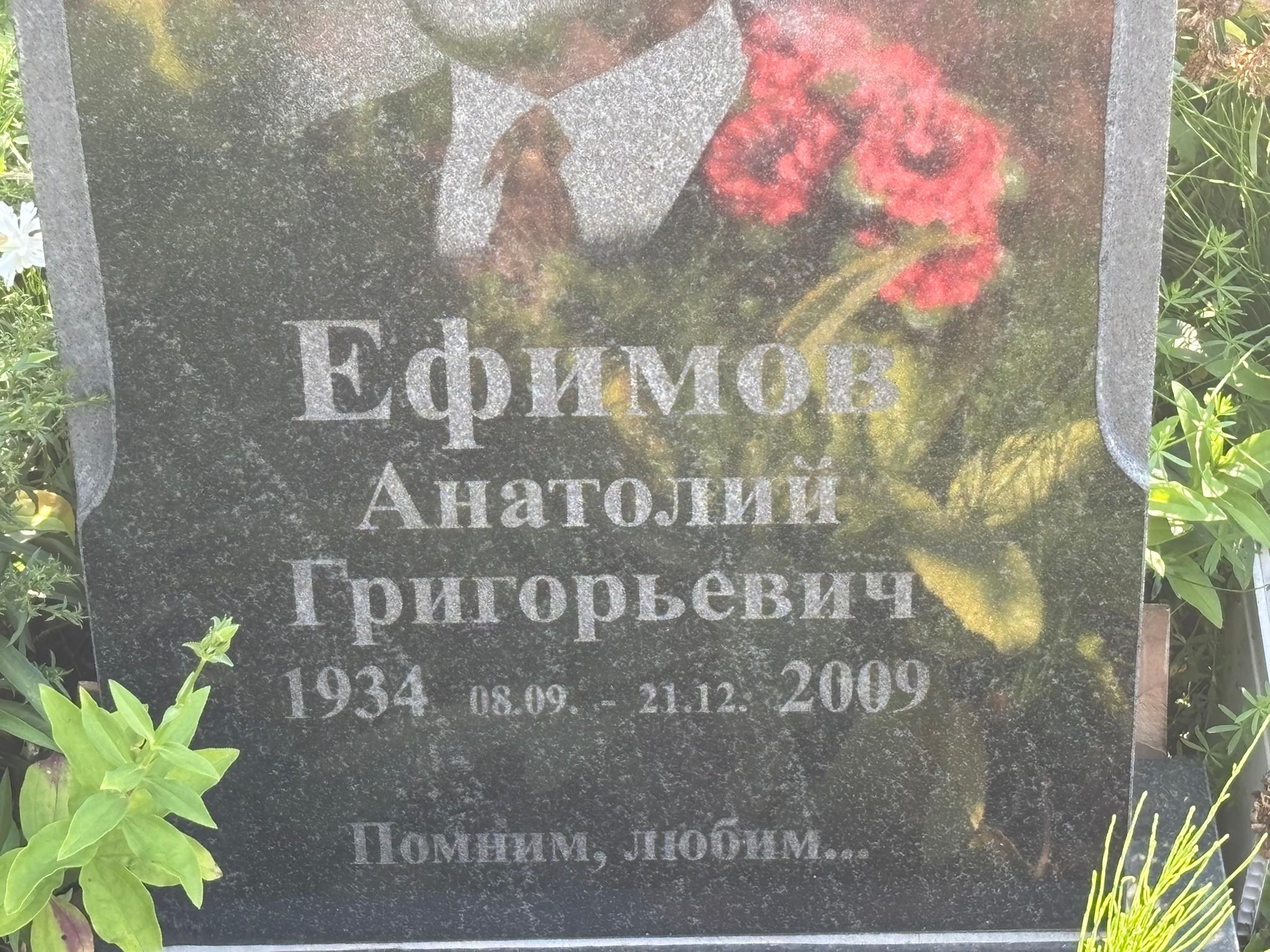 Ефимов